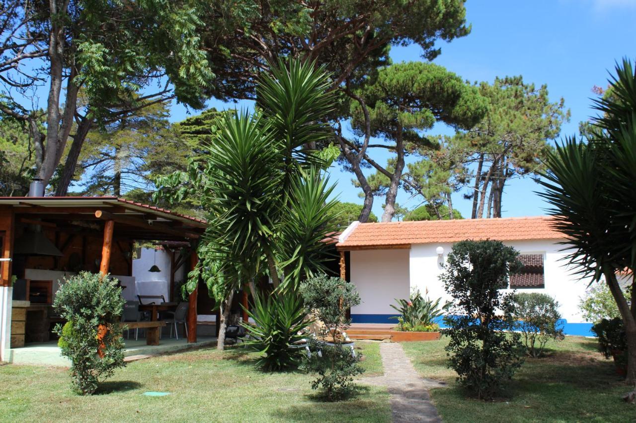 Casinha Do Pinhal Villa Colares Exterior photo