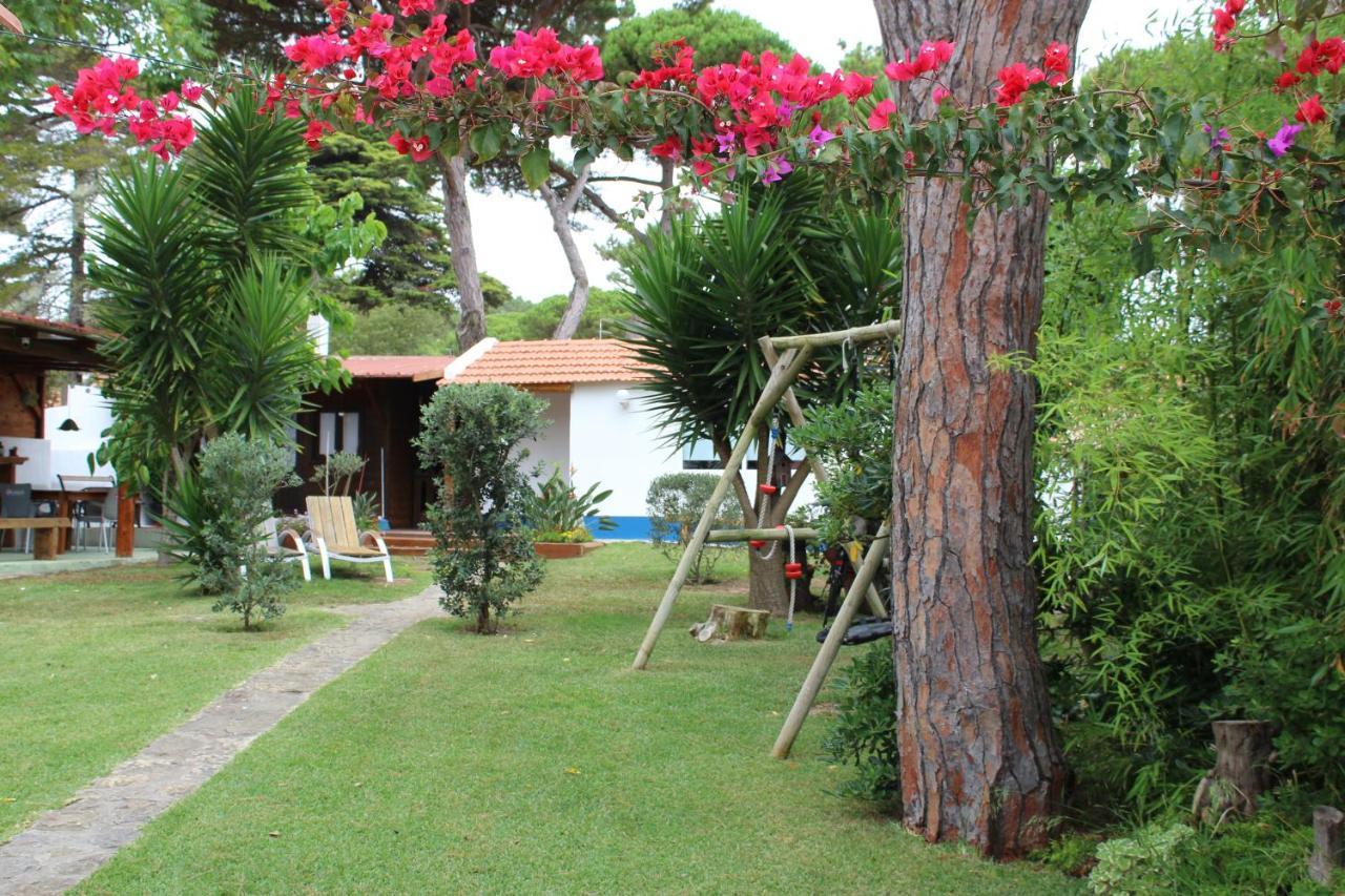 Casinha Do Pinhal Villa Colares Exterior photo